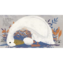 Load image into Gallery viewer, 鴨子家族大搬家