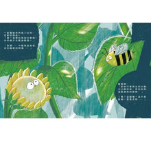 Load image into Gallery viewer, 向日葵想長高