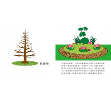 Load image into Gallery viewer, 【給幼兒的第一套科普知識啟蒙書】蛋殼蛋殼去哪裡?