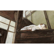 Load image into Gallery viewer, 貓爪之夜(附書衣海報)