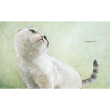 Load image into Gallery viewer, 貓爪之夜(附書衣海報)