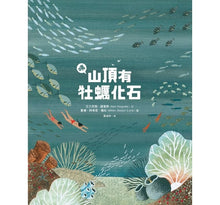 Load image into Gallery viewer, 咦,山頂有牡蠣化石