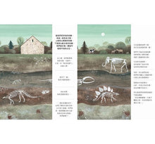 Load image into Gallery viewer, 咦,山頂有牡蠣化石