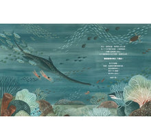 Load image into Gallery viewer, 咦,山頂有牡蠣化石