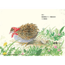 Load image into Gallery viewer, 鵪鶉媽媽與蛋寶寶