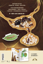 Load image into Gallery viewer, 潛入迷你王國:小巧蜂蟻,驚奇無比