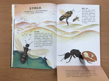 Load image into Gallery viewer, 潛入迷你王國:小巧蜂蟻,驚奇無比