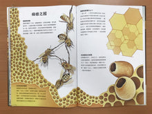 Load image into Gallery viewer, 潛入迷你王國:小巧蜂蟻,驚奇無比