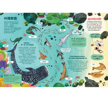 Load image into Gallery viewer, 最美的海洋...{需要我們一起來保護}