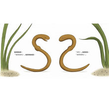 Load image into Gallery viewer, 蚯蚓愛蚯蚓