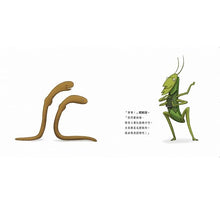 Load image into Gallery viewer, 蚯蚓愛蚯蚓