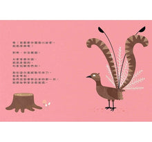 Load image into Gallery viewer, 說謊鳥