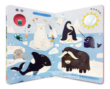 Load image into Gallery viewer, 摸摸看!我的超大啟萌書