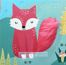 Load image into Gallery viewer, 摸摸看!我的超大啟萌書