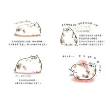 Load image into Gallery viewer, 如果愛是一隻貓