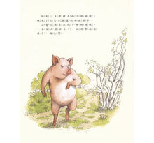 Load image into Gallery viewer, 三隻小狼和大壞豬