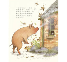 Load image into Gallery viewer, 三隻小狼和大壞豬