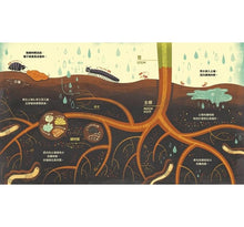 Load image into Gallery viewer, 花的祕密:植物為什麼會開花?