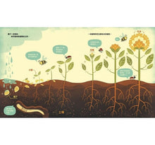 Load image into Gallery viewer, 花的祕密:植物為什麼會開花?