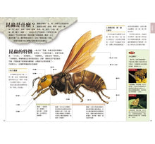 Load image into Gallery viewer, 昆蟲觀察入門