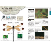 Load image into Gallery viewer, 昆蟲觀察入門