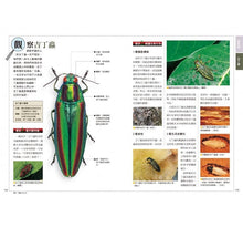 Load image into Gallery viewer, 昆蟲觀察入門