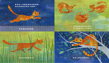 Load image into Gallery viewer, 地圖喵:啟蒙孩子的圖像思維