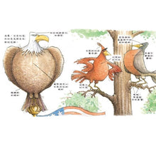 Load image into Gallery viewer, 讓我加入好嗎