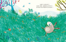 Load image into Gallery viewer, 偏食的小驢