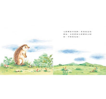 Load image into Gallery viewer, 擁抱