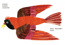 Load image into Gallery viewer, 棕色的熊,棕色的熊,你在看什麼?