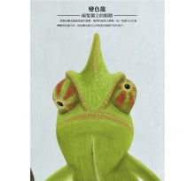 Load image into Gallery viewer, 動物眼中的世界