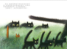 Load image into Gallery viewer, 小貓玫瑰