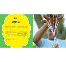 Load image into Gallery viewer, STEAM大腦科學好好玩:探索摸不到、看不到的嗅覺、視覺、聽覺、記憶,52個實驗X10大單元結合自然、生物與生活科技的跨領域學科