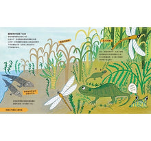 Load image into Gallery viewer, 演化之書:生命起源的故事(新版)