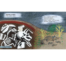 Load image into Gallery viewer, 演化之書:生命起源的故事(新版)