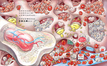 Load image into Gallery viewer, 金妮比尼系列:心臟噗通噗通:血液的身體大冒險