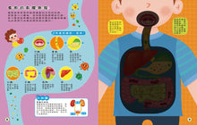 Load image into Gallery viewer, 探照燈找一找:透視身體大解密