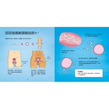 Load image into Gallery viewer, 我的小弟弟和妳的小妹妹(兒童性教育啟蒙認知繪本)