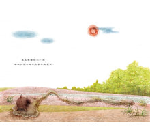 Load image into Gallery viewer, 世界上最美麗的東西在哪裡?