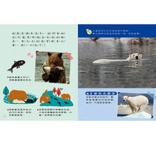 Load image into Gallery viewer, 小偵探大追擊:發現動物的祕密