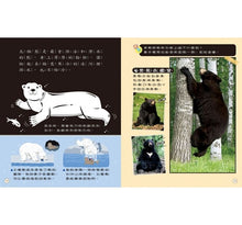 Load image into Gallery viewer, 小偵探大追擊:發現動物的祕密