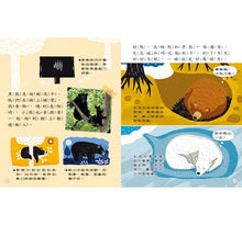 Load image into Gallery viewer, 小偵探大追擊:發現動物的祕密