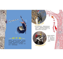 Load image into Gallery viewer, 小偵探大追擊:認識鳥兒大小事