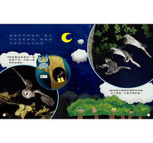 Load image into Gallery viewer, 小偵探大追擊:找一找動物的家