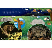 Load image into Gallery viewer, 小偵探大追擊:找一找動物的家