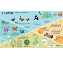 Load image into Gallery viewer, 數學為什麼:我的第一本數學小百科‧關於形狀和數字的驚奇