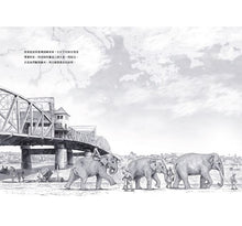 Load image into Gallery viewer, 最後的戰象:大兵林旺三部曲