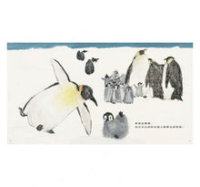 Load image into Gallery viewer, 皇帝企鵝