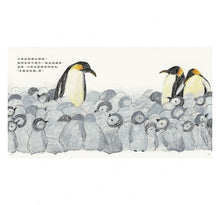 Load image into Gallery viewer, 皇帝企鵝